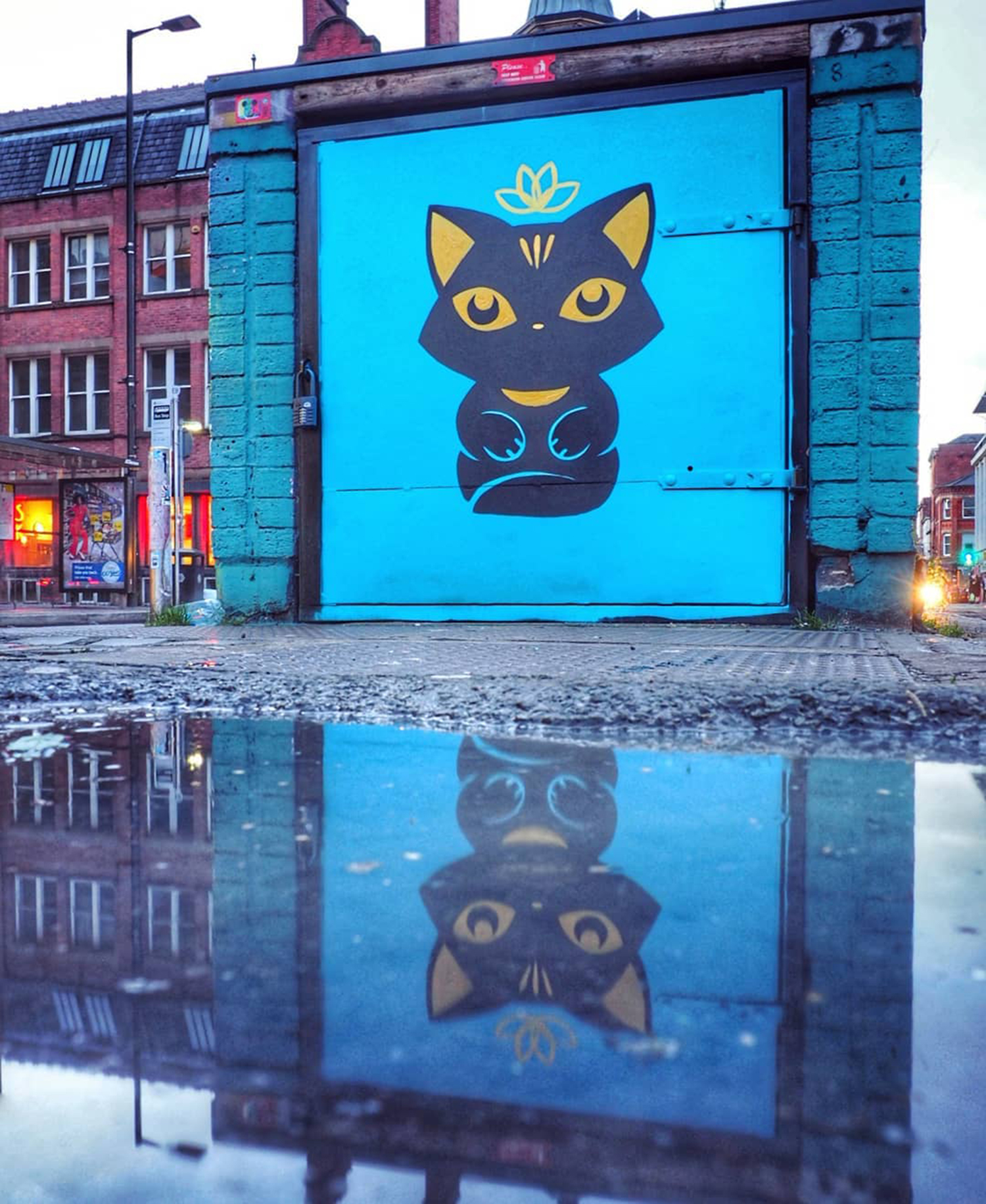 #OutHouseMCR: A kitten called Bastet